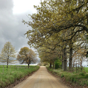 Meet your Posher, Glynda